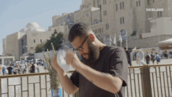 viceland GIF by Hate Thy Neighbor