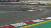 redbullracing france 2019 f1 french GIF