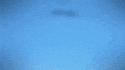 Raddad GIF by Kid-A-Loo