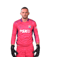 Football Soccer Sticker by GNK Dinamo