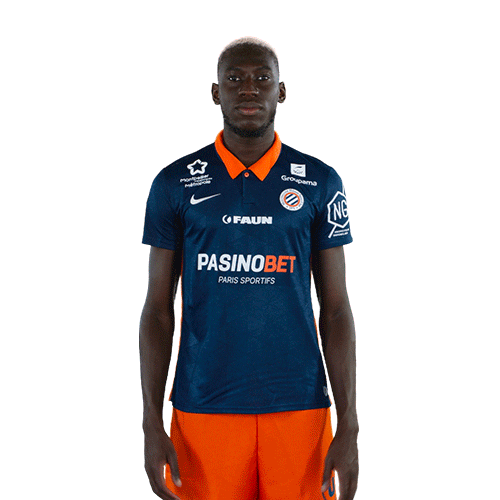 Montpellier Sticker by MHSC