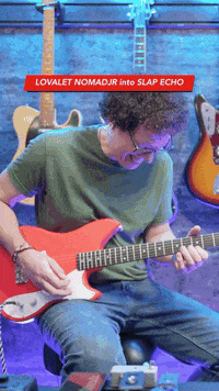TheGuitarGeek  GIF