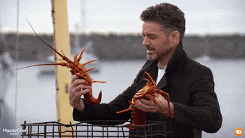 GIF by MasterChefAU