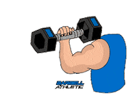 Fitness Muscle Sticker by Barbell Athletic