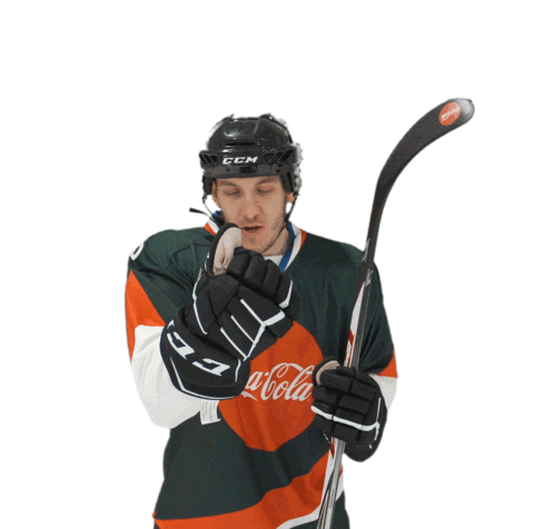 cokerulez jakubhouse Sticker by cocacolaczsk