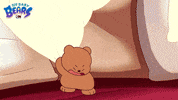 Ice Bear Bears GIF by Cartoon Network