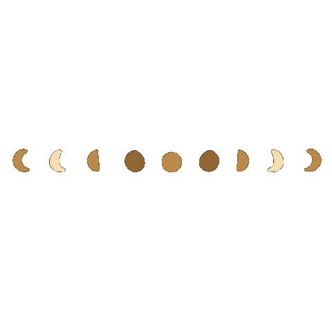 Zodiac Sign Moon Sticker