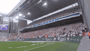 Party Fans GIF by F.C. København