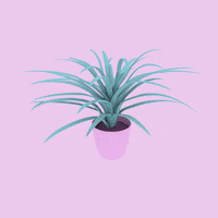 Art Design GIF by Simon Falk