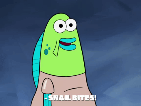 season 8 episode 22 GIF by SpongeBob SquarePants