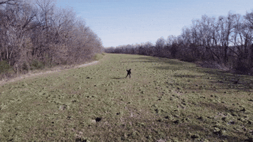 Feeling Small Out Of This World GIF by Better Noise Music