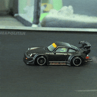 Race Porsche GIF by kneapolitan