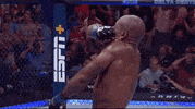 Mixed Martial Arts Sport GIF by UFC