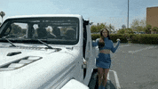 Simple Times GIF by Kacey Musgraves