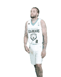 Cebl Sticker by Winnipeg Sea Bears