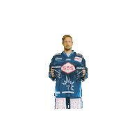 Dresden Del2 Sticker by Dresdner Eisloewen