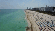 Miami Beach Summer GIF by ATLAST