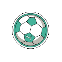 Shemovesus Sticker by PUMA
