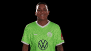 Lets Go Reaction GIF by VfL Wolfsburg