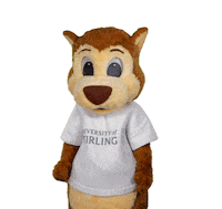 universityofstirling yes celebrate winning success Sticker