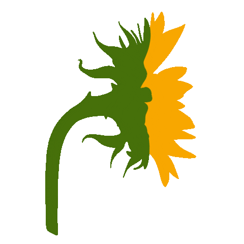 amayajade giphyupload instagram flower yellow Sticker