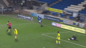 Pufc The Posh GIF by Peterborough United Football Club