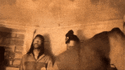 Chicago Dc GIF by Casanova Records