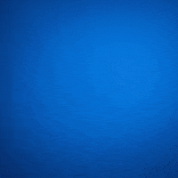 Bundesliga Goalkeeper GIF by Hertha BSC