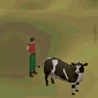 Holy Cow GIF by Respective