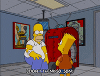 homer simpson broken image GIF