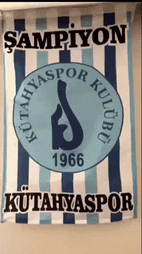 Flag Sampiyon GIF