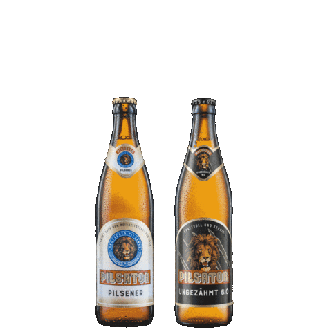 frankfurter_brauhaus giphyupload bier frankfurtoder pilsator Sticker