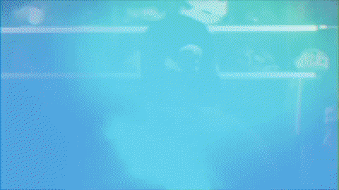 baseball wave GIF by GreenWave