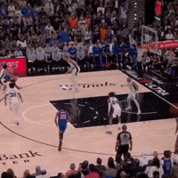 Assist New York Knicks GIF