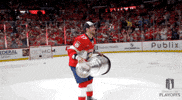 Stanley Cup Playoffs Win GIF by NHL