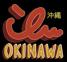 ilu098 okinawa 沖縄 ilu098 アイル GIF