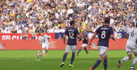 GIF by LA Galaxy