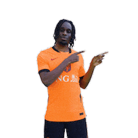 Ing Sticker by INGNederland