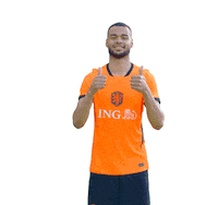 Ing Sticker by INGNederland