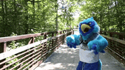 Happy Cheer GIF by Anne Arundel Community College