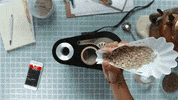 ikawa coffee beans roasting ikawa GIF