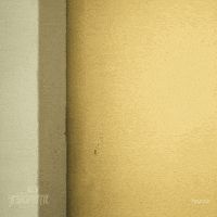 Peeking Spying GIF by FX Networks