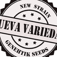 Euskadi Certificate GIF by genehtik