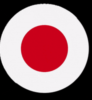 Wakatake football japan poland wakatake GIF