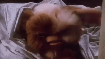 christmas movies gremlins GIF