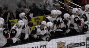 Happy Ice Hockey GIF by NHL