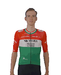 Tour De France Giro Sticker by Team Visma | Lease a Bike