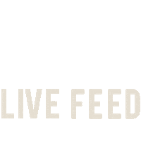 Swipe Up Live Feed Sticker by NanaMacs Boutique