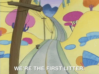 nicksplat angry beaver GIF