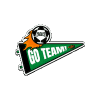 colegioinglesdetorreon sports football soccer futbol Sticker